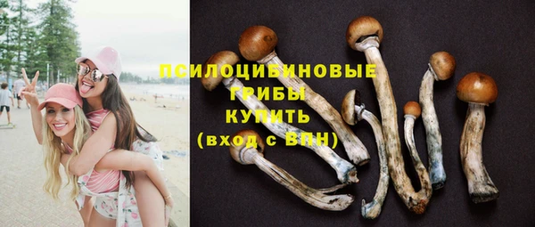MESCALINE Бородино