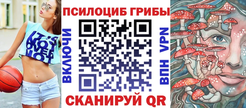 Галлюциногенные грибы мицелий  Купить закладки  Нолинск 
